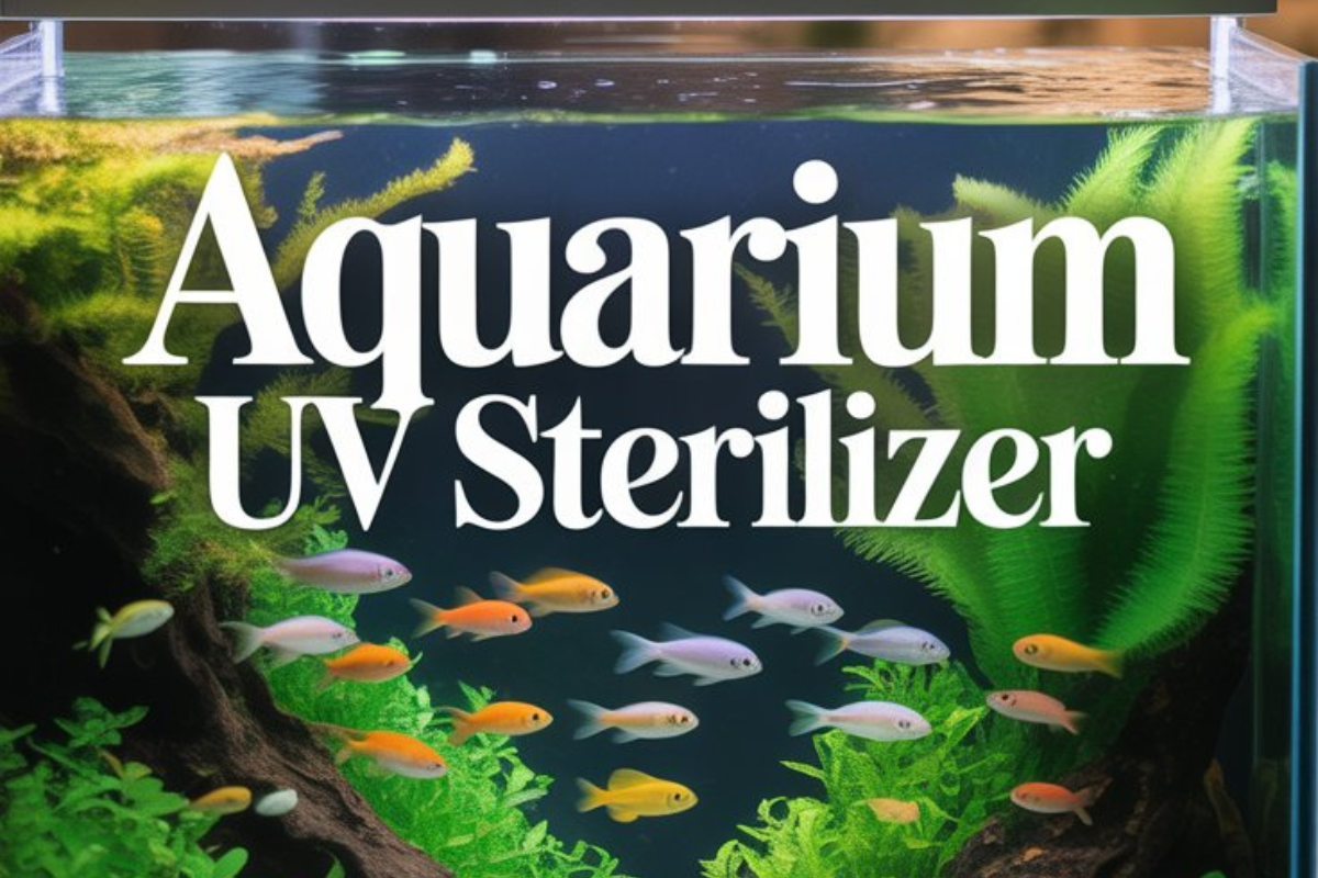 Aquarium UV Sterilizer