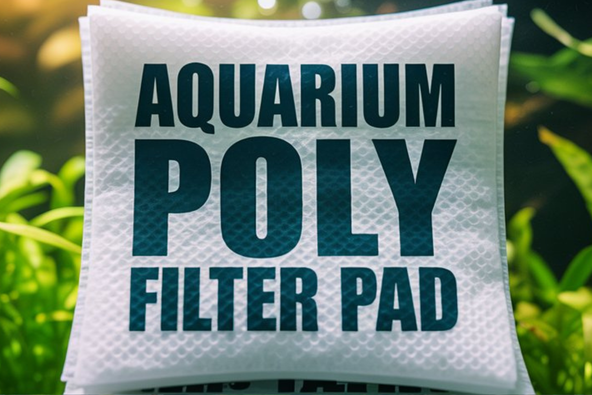 Poly Filter Pad