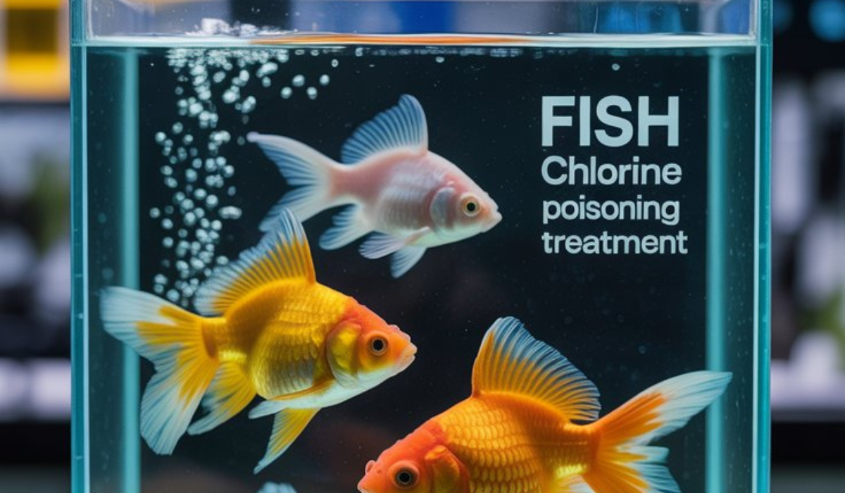 Chlorine Poisoning Treatment