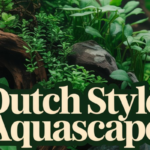 Dutch Style Aquascape: A Complete Guide for Aquascaping