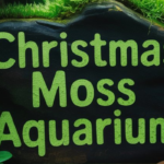 Christmas Moss Aquarium