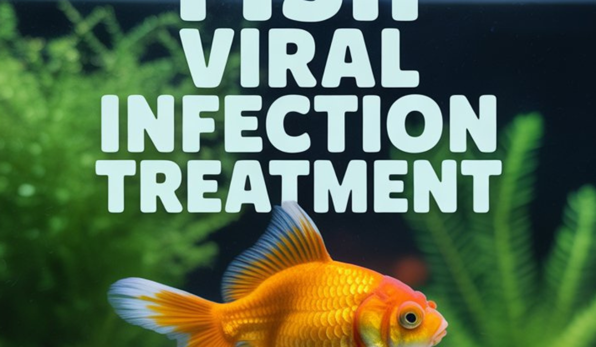 Viral Infection Treatment