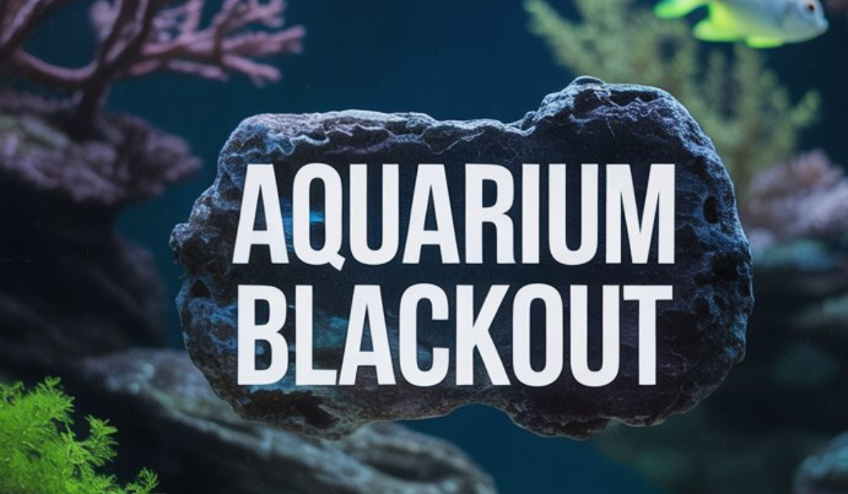 Aquarium Blackout