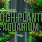 Dutch Planted Aquarium