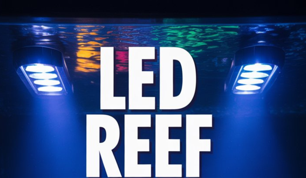 LED Reef Lighting