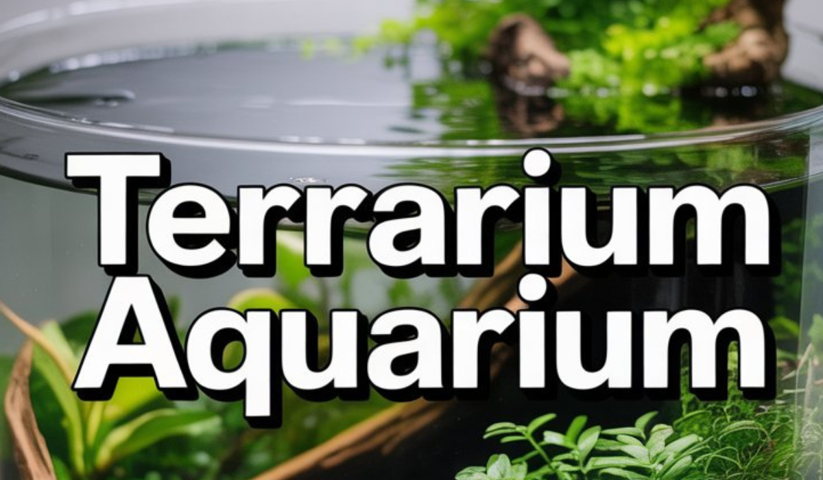 Terrarium Aquarium