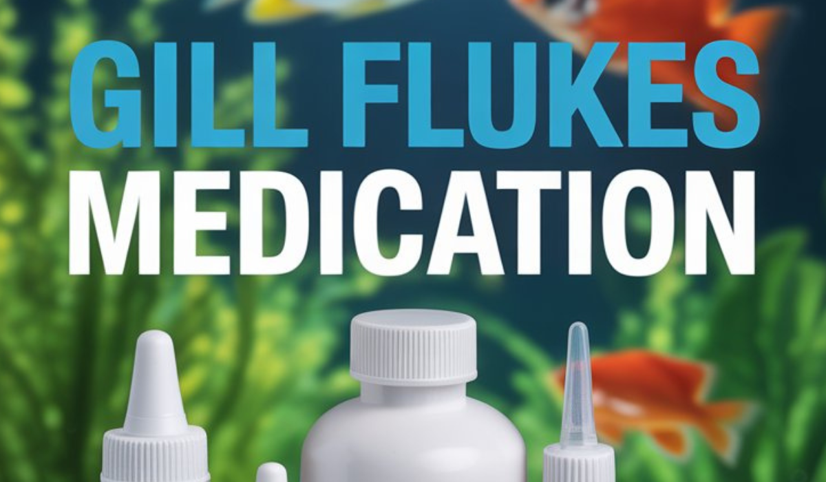 Gill Flukes Medication