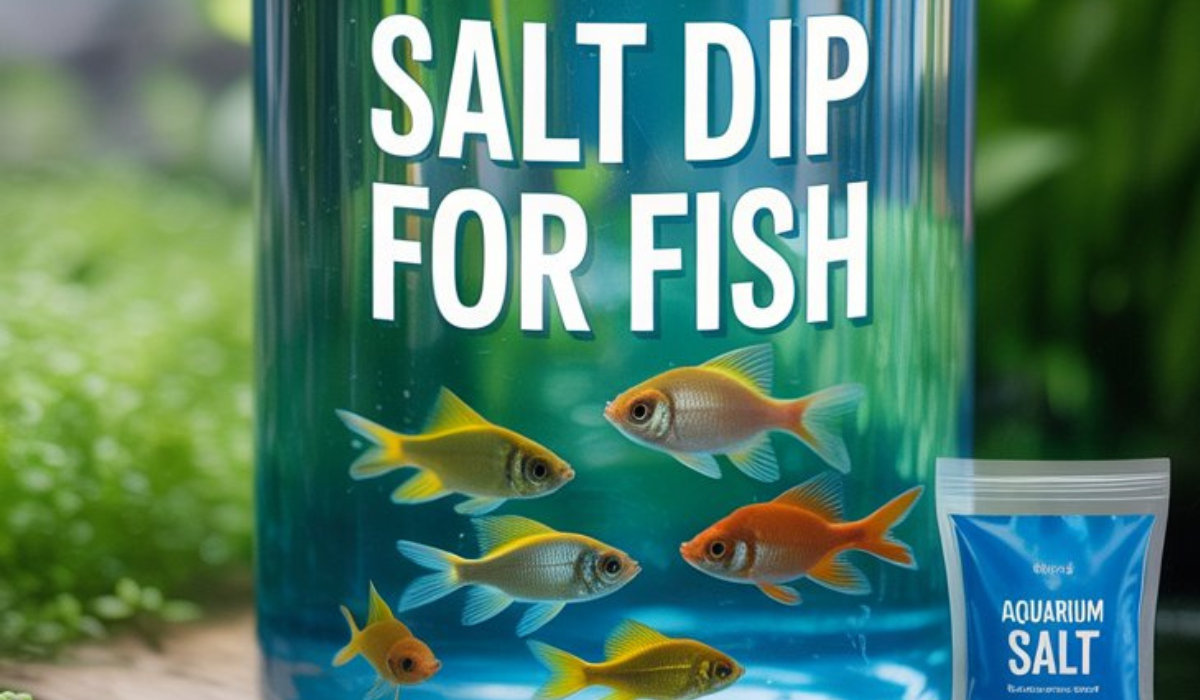 Salt Dip for Fish