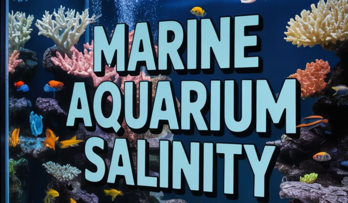 Marine Aquarium Salinity