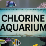 Chlorine in Aquariums