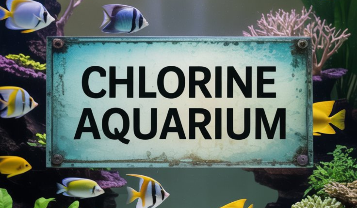 Chlorine in Aquariums