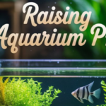 Raising Aquarium pH