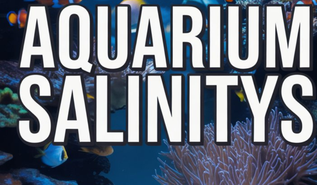 Aquarium Salinity