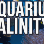 Aquarium Salinity