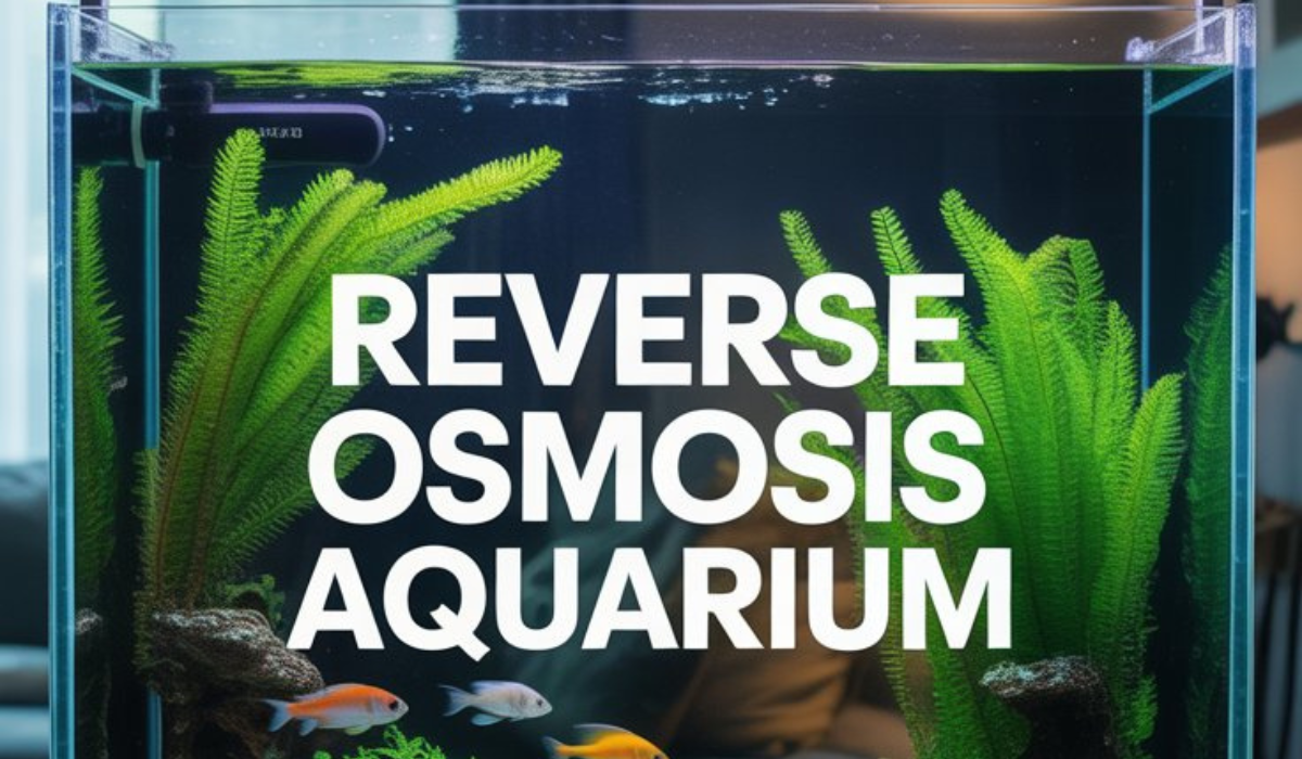 Reverse Osmosis Aquarium