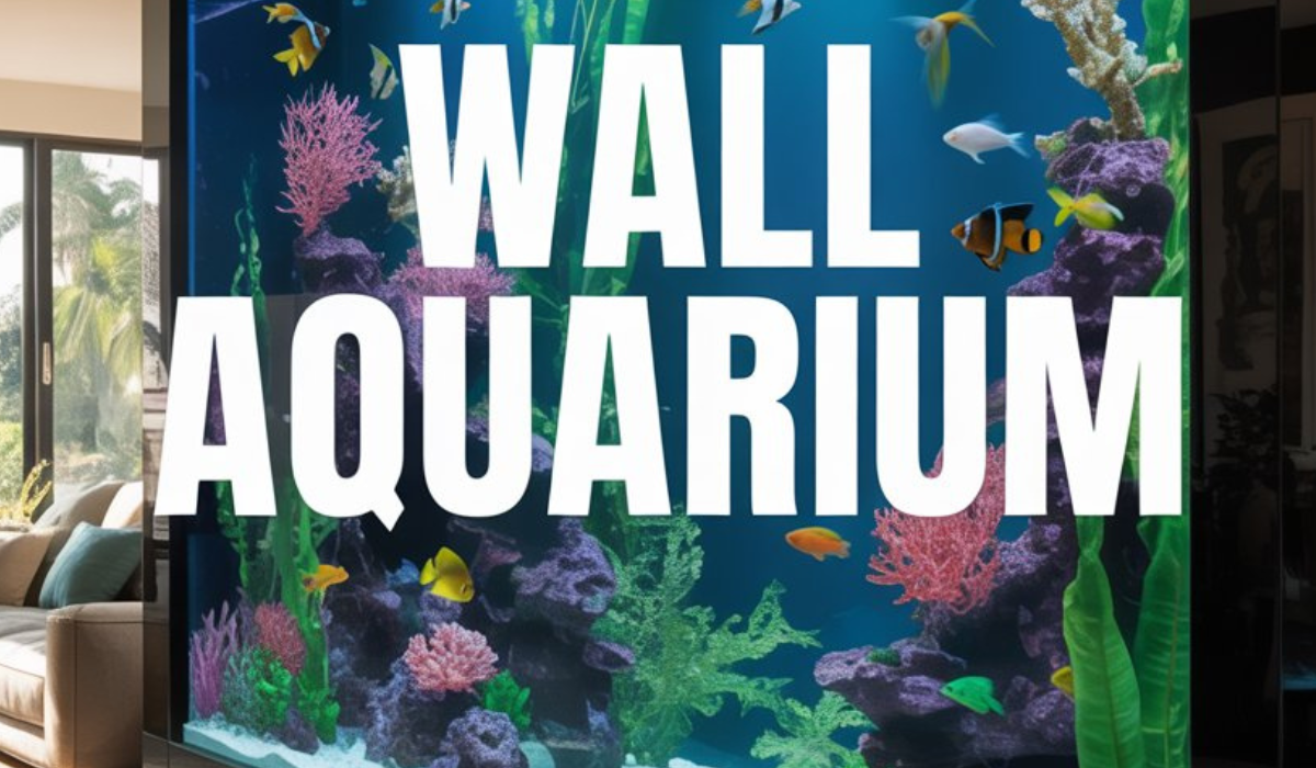 wall aquarium