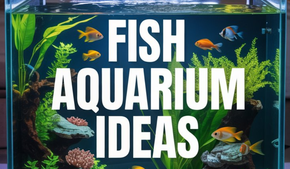 Fish Aquarium Ideas