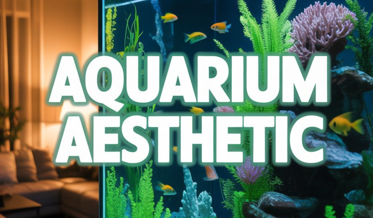 Aquarium Aesthetic
