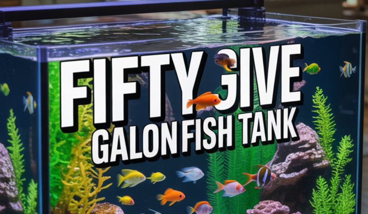 Fifty Five Gallon Fish Tank