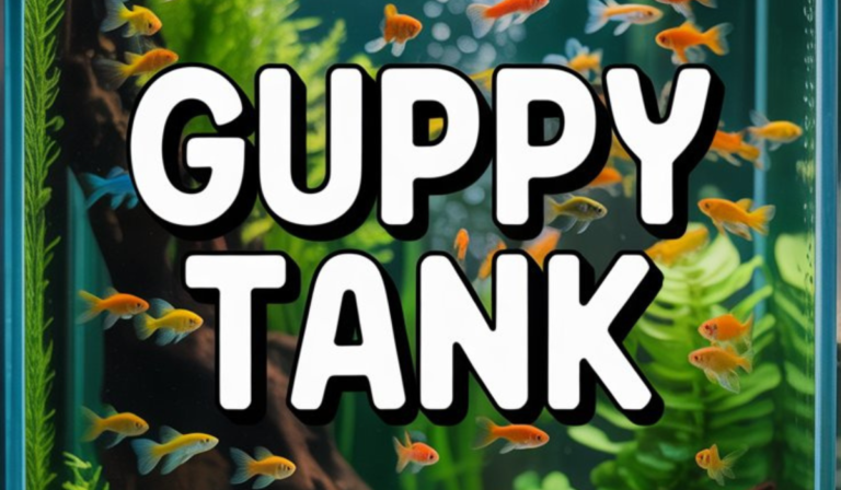 Guppy Tank