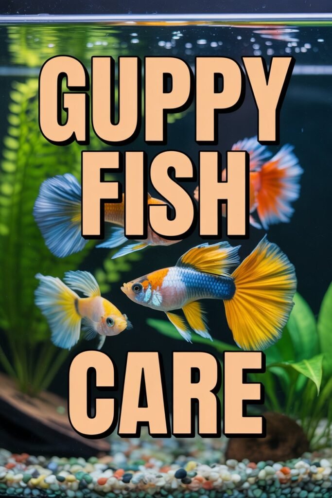 Guppy Fish Care