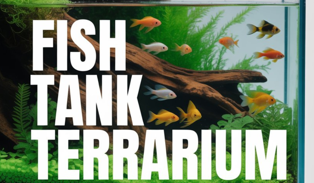 Fish Tank Terrarium