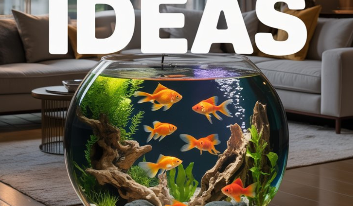 Goldfish Tank Ideas