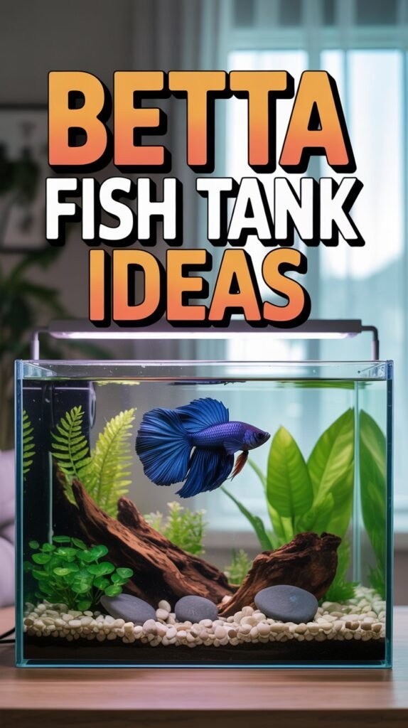 Betta Fish Tank Ideas