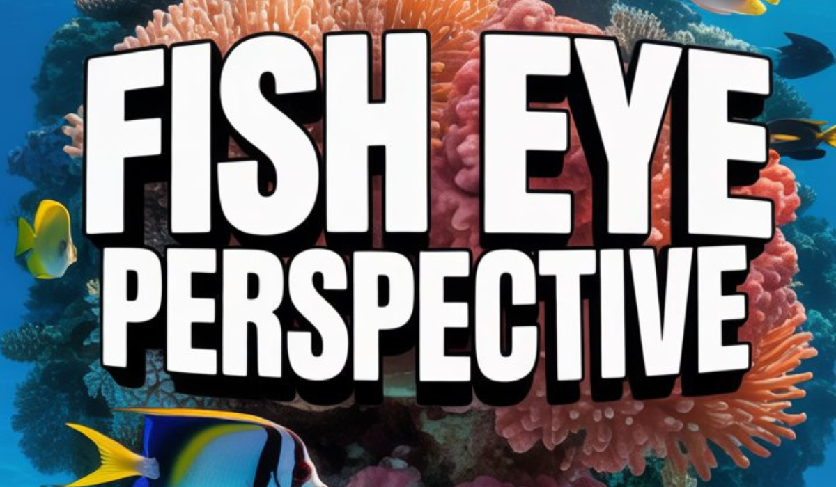 Fish Eye Perspective