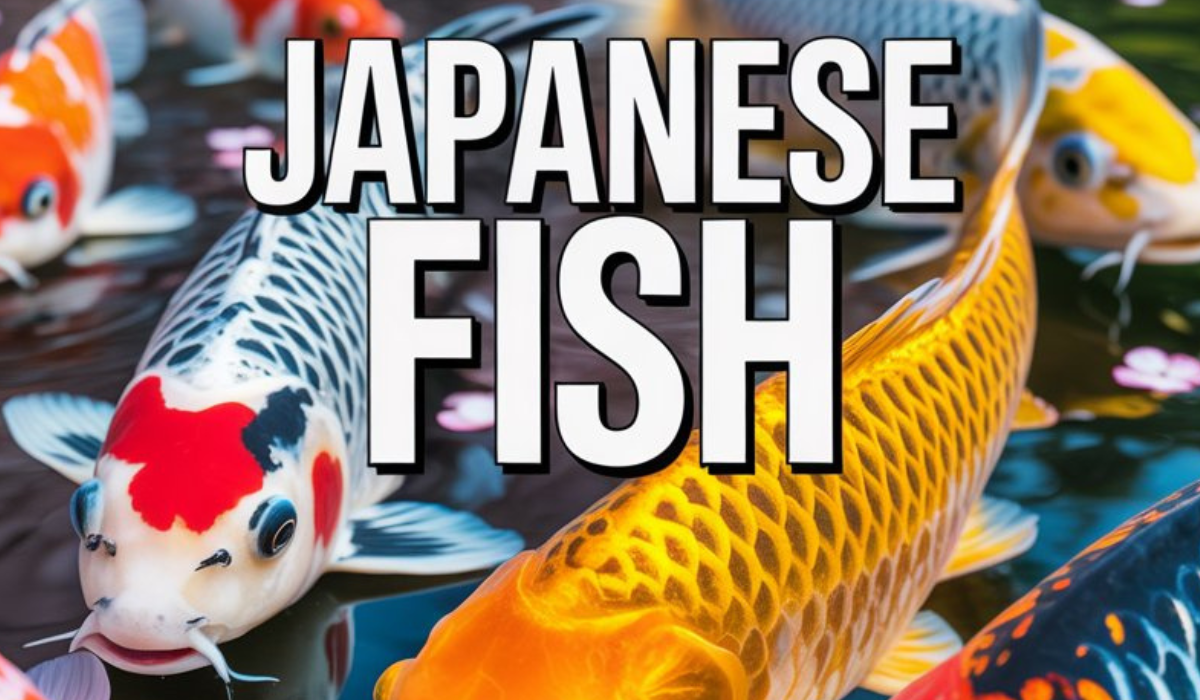 Japanese Fish