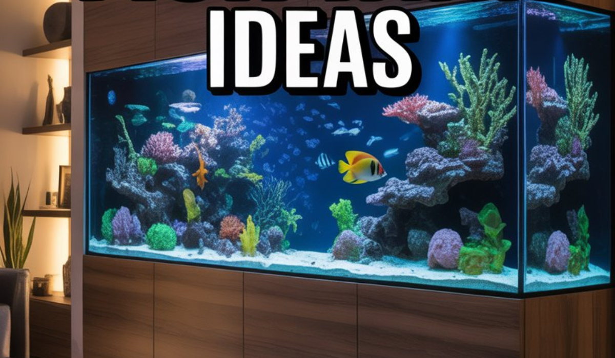 Large Fish Tank Ideas