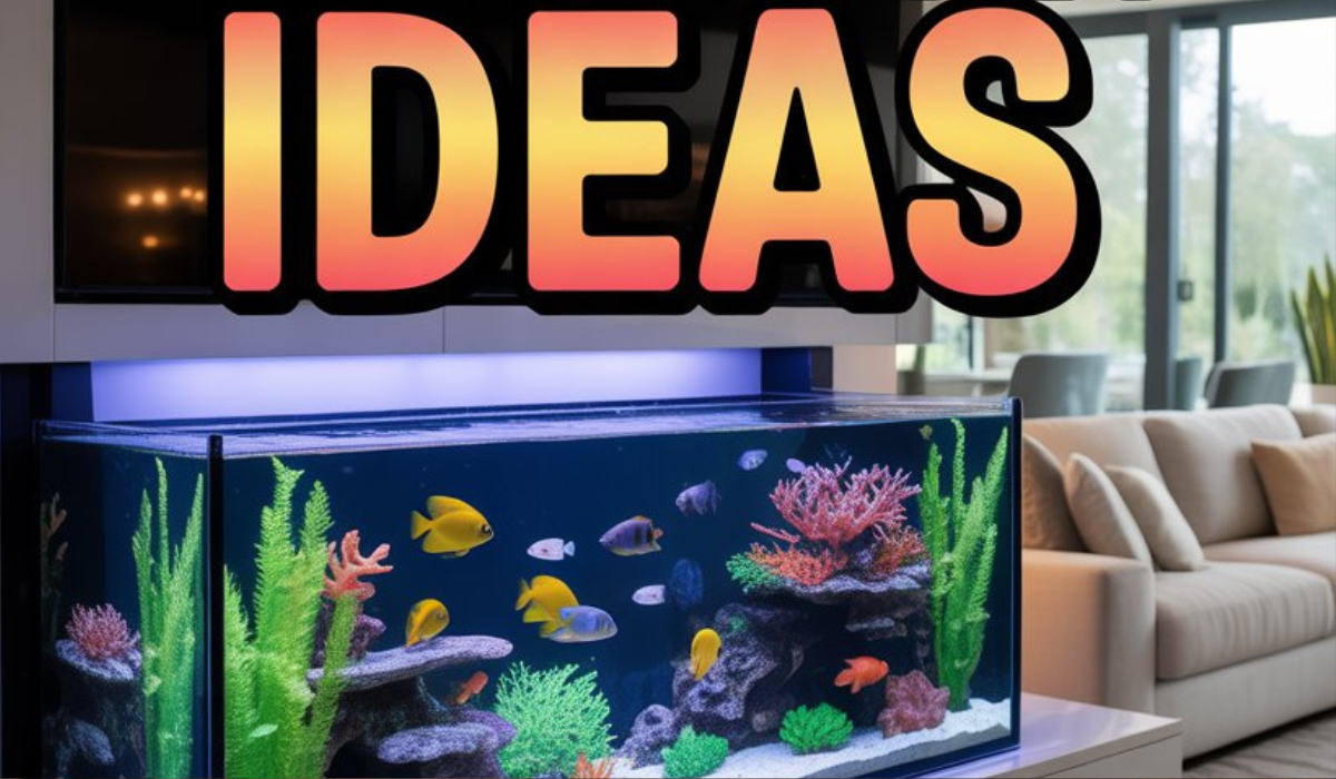 Home Fish Tank Ideas