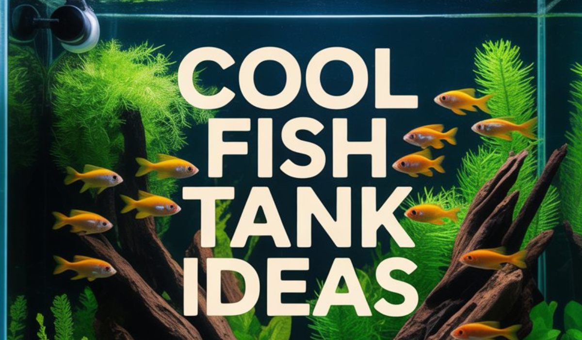 Cool Fish Tank Ideas