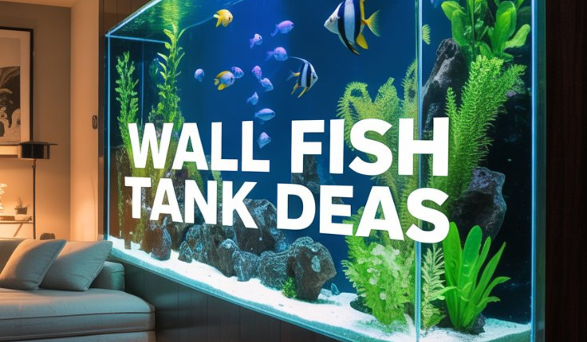 Wall Fish Tank Ideas
