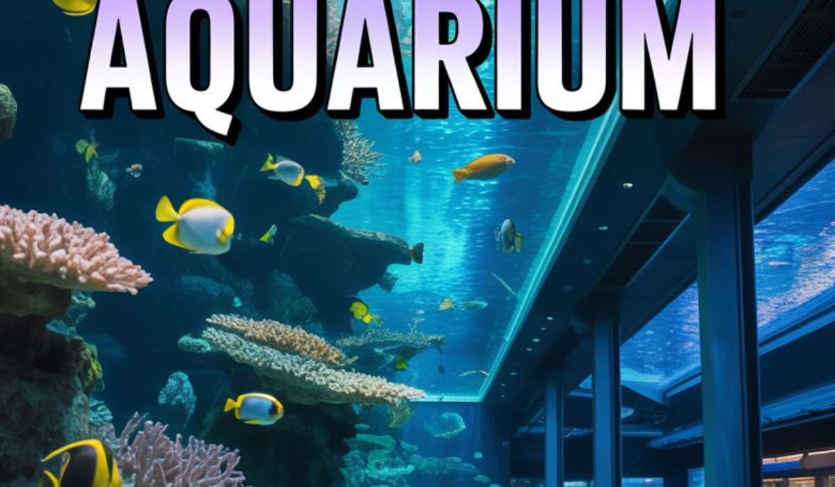 Ocean Aquarium