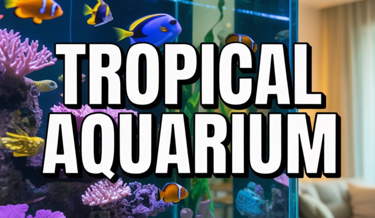 Tropical Aquarium