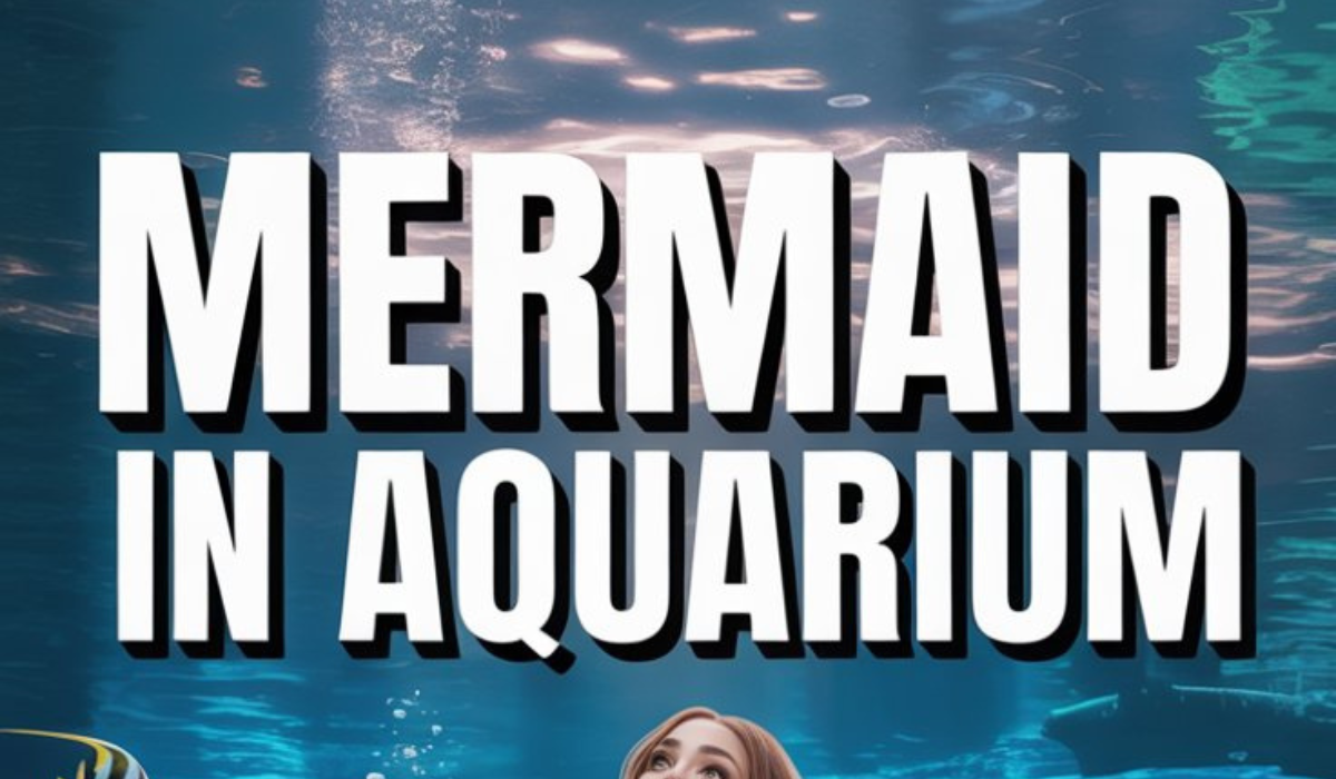 Mermaid in Aquarium