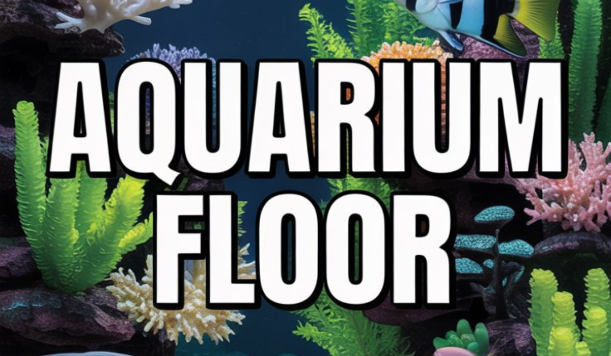 Aquarium Floor