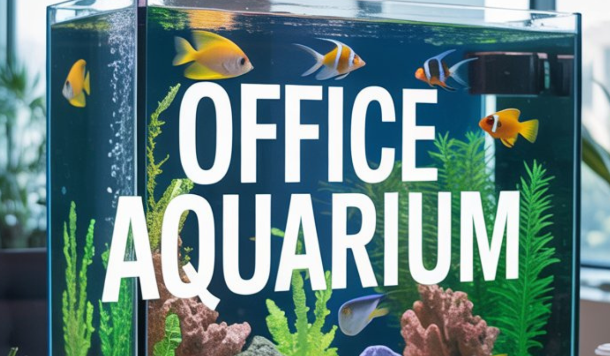 Office Aquarium