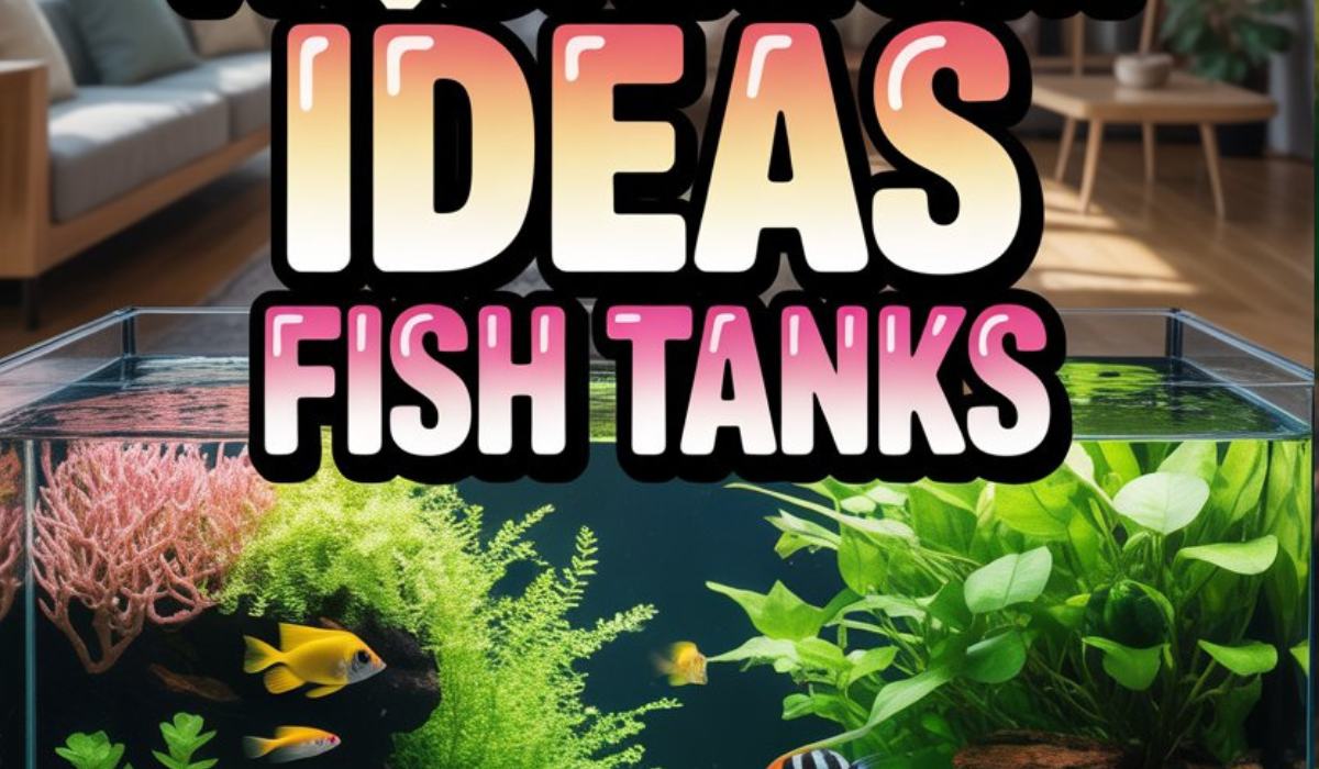 Plant Aquarium Ideas for Fish Tanks