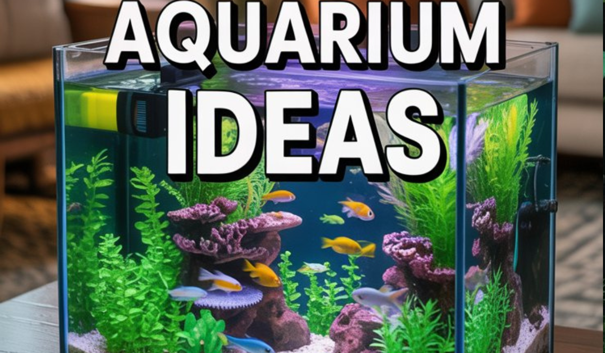 Cute Aquarium Ideas