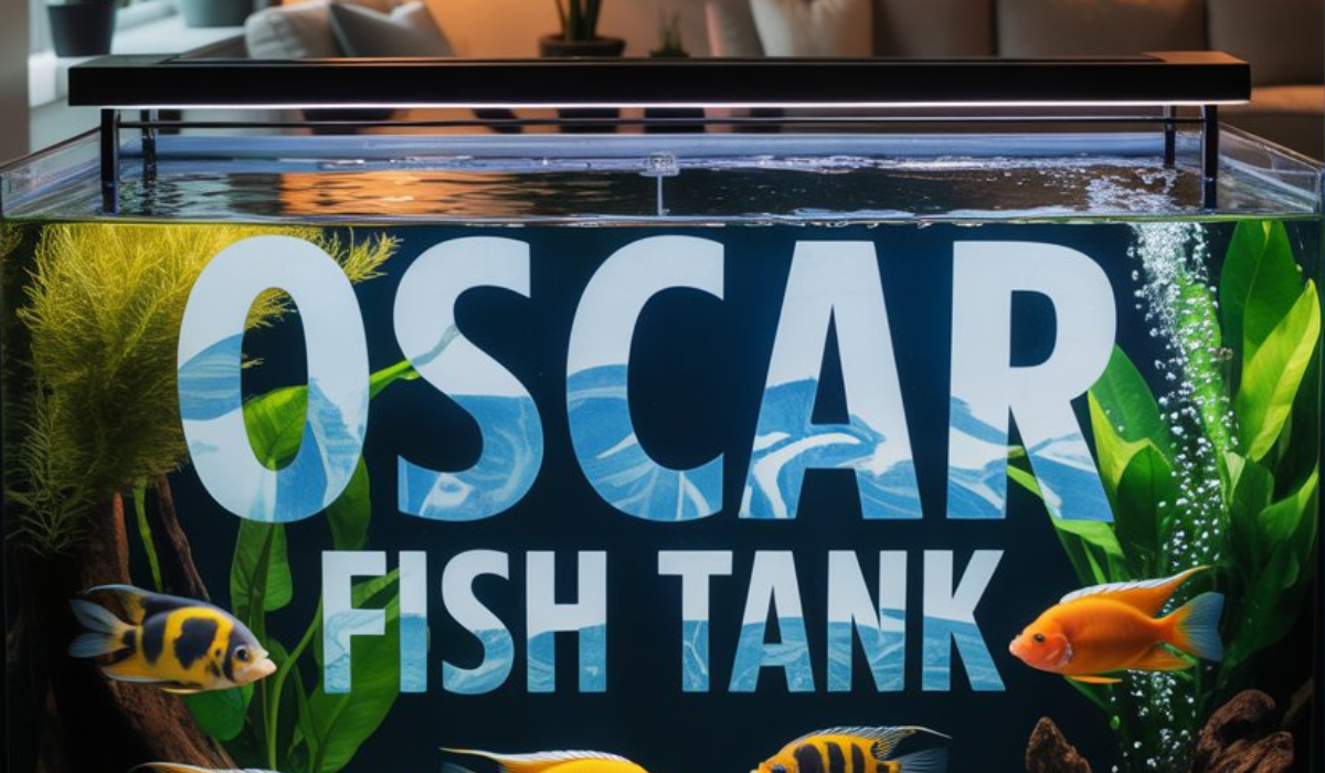Oscar Fish Tank