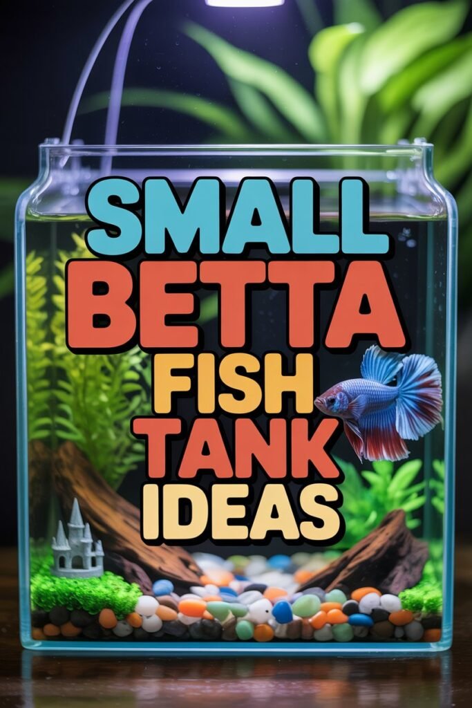Small Betta Fish Tank Ideas