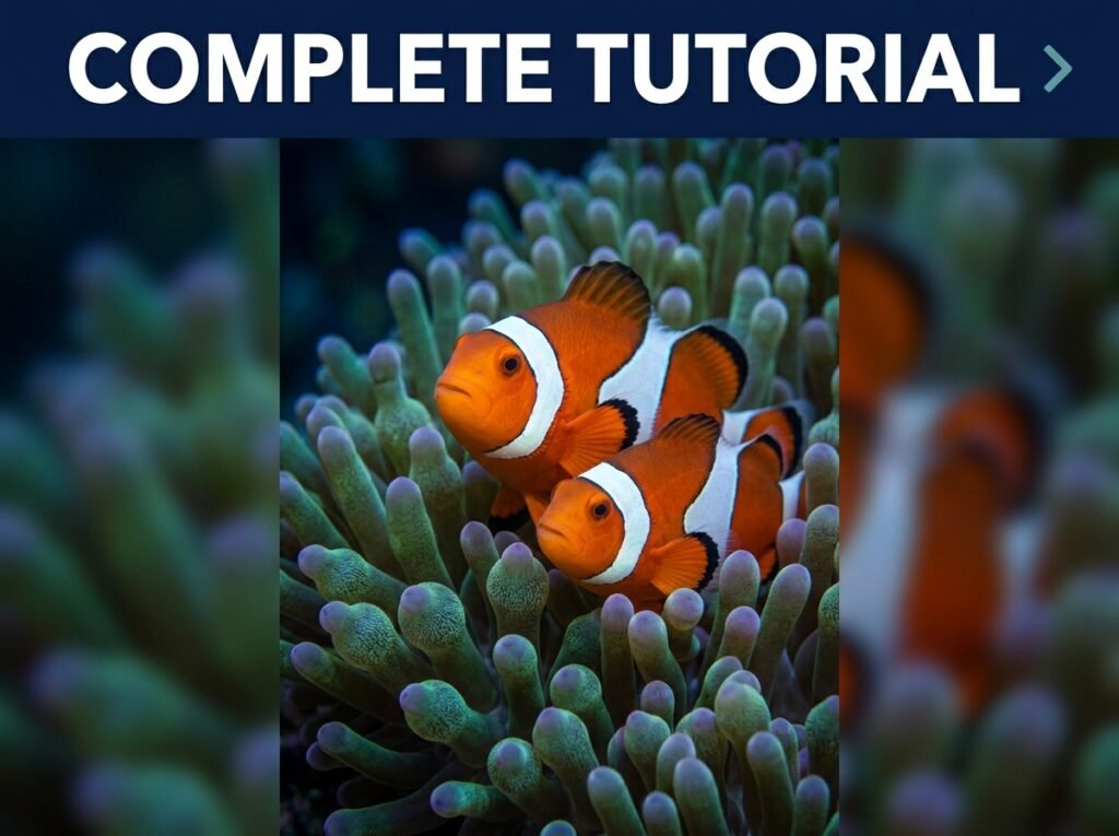 Clown Fish Tank