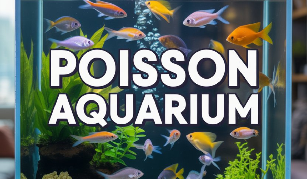 Poisson Aquarium