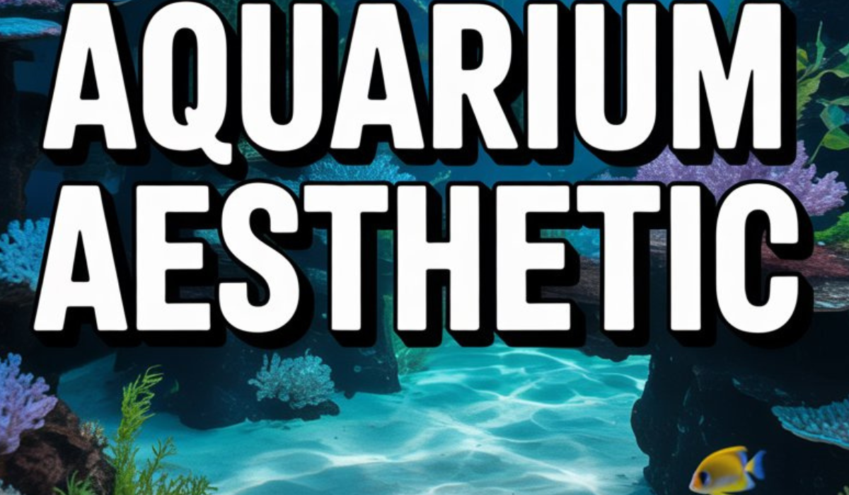Blue Aquarium Aesthetic