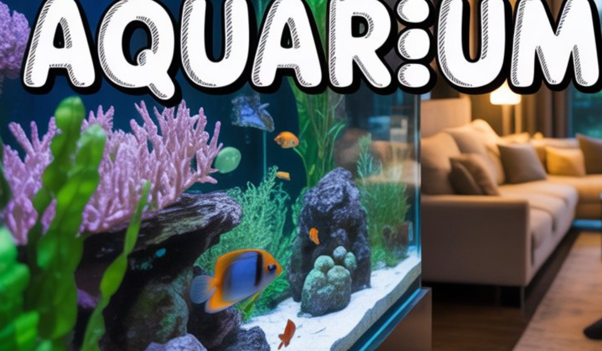 House Aquarium