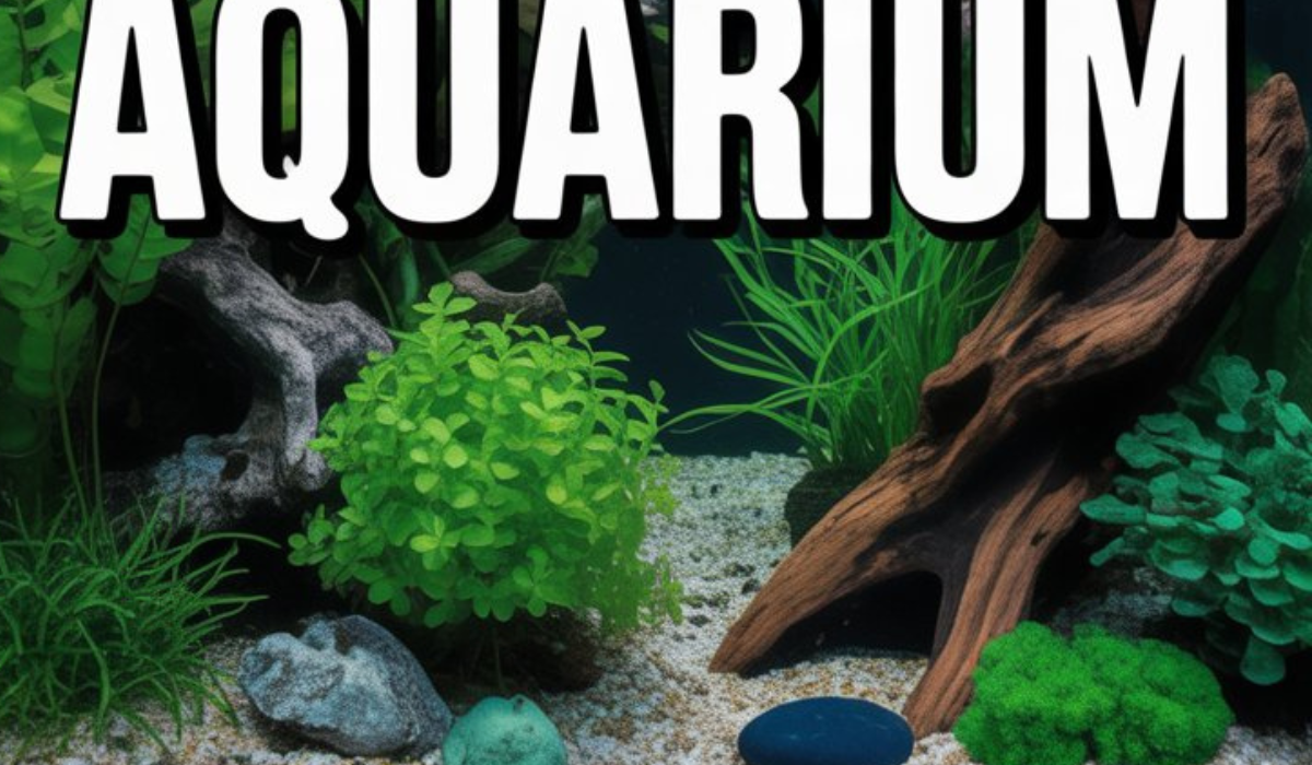 Idée Déco Aquarium