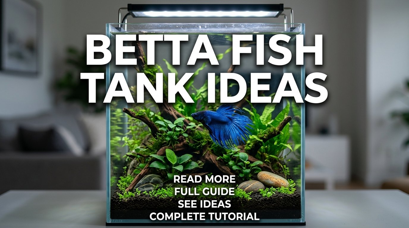 Betta Fish Aquarium
