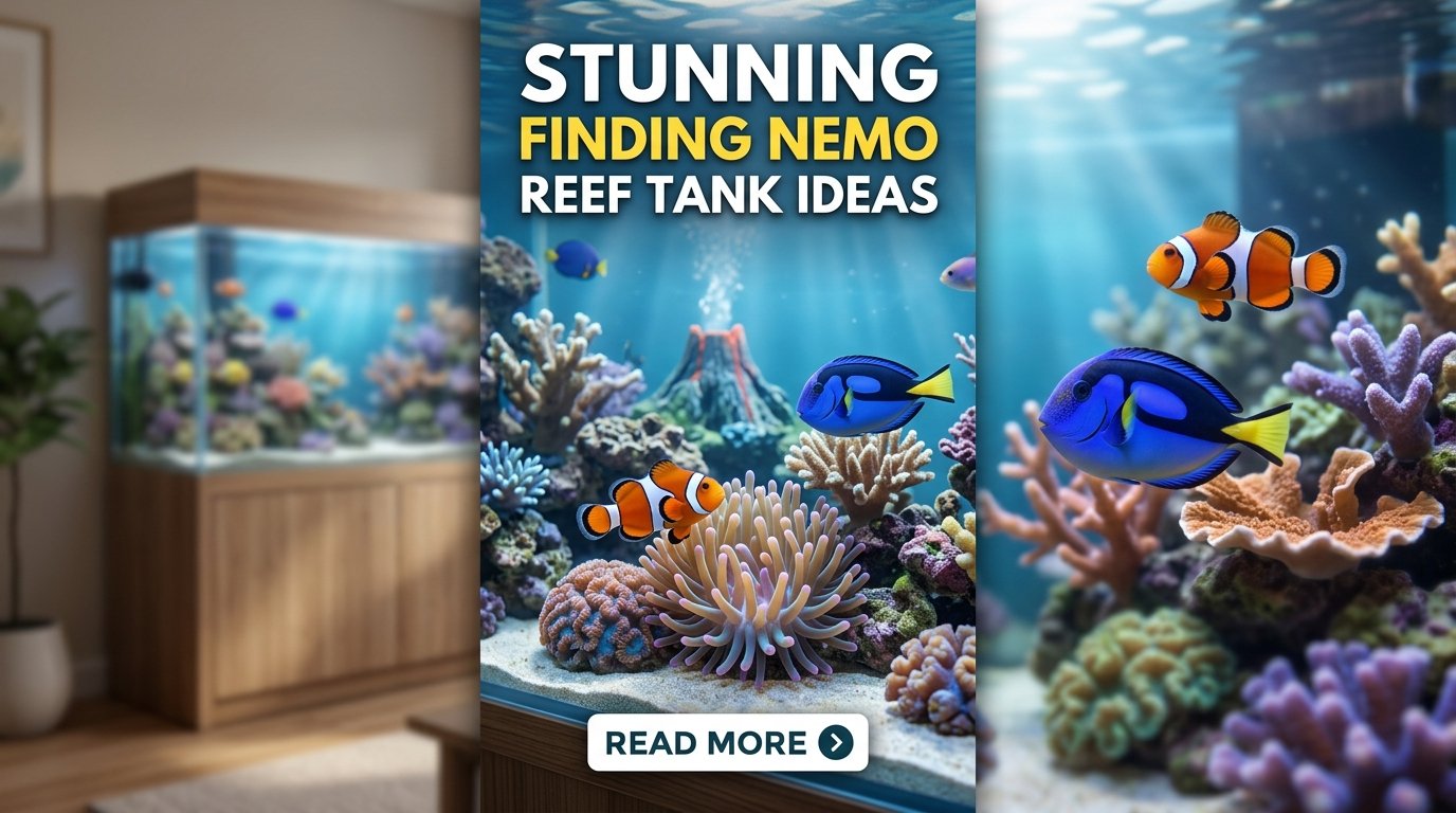Fish Tank Bedroom